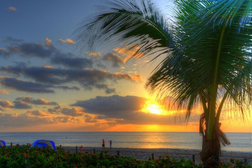 Beachcomber Resort & Club image 2